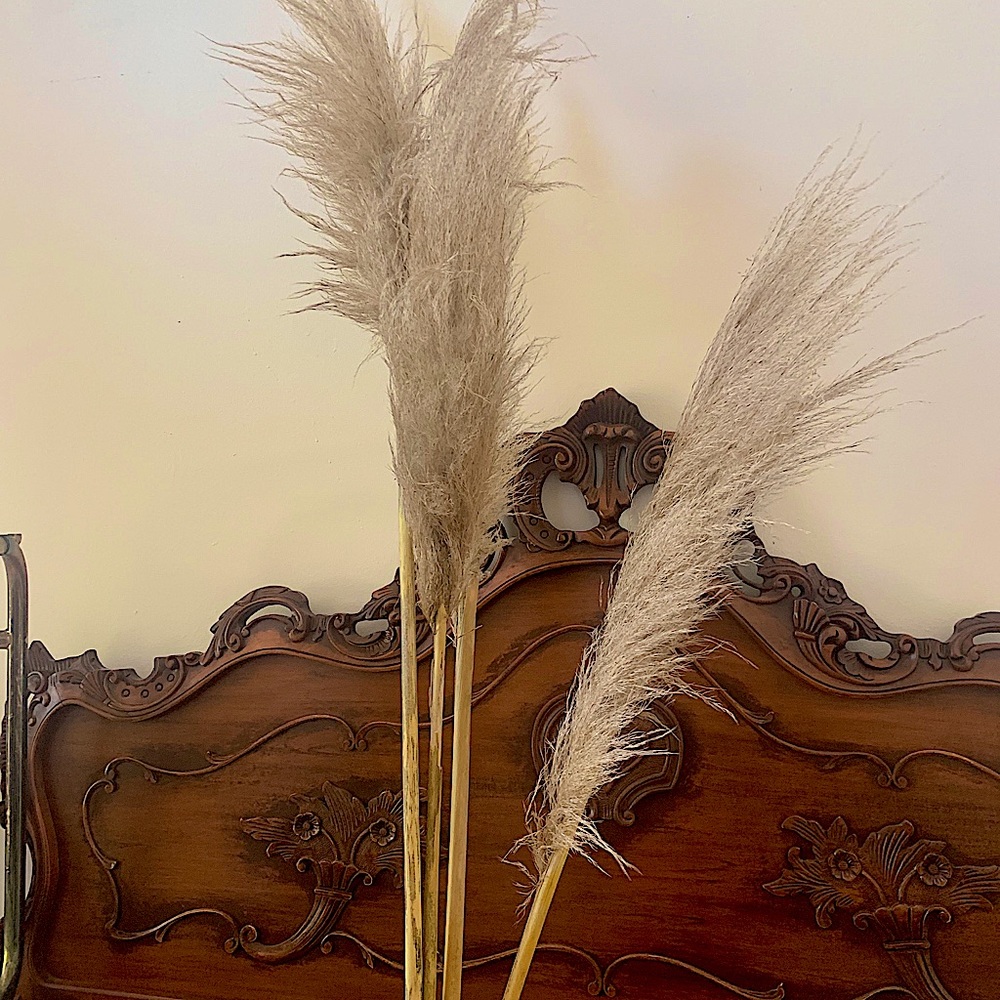 Fresh pampas bundle